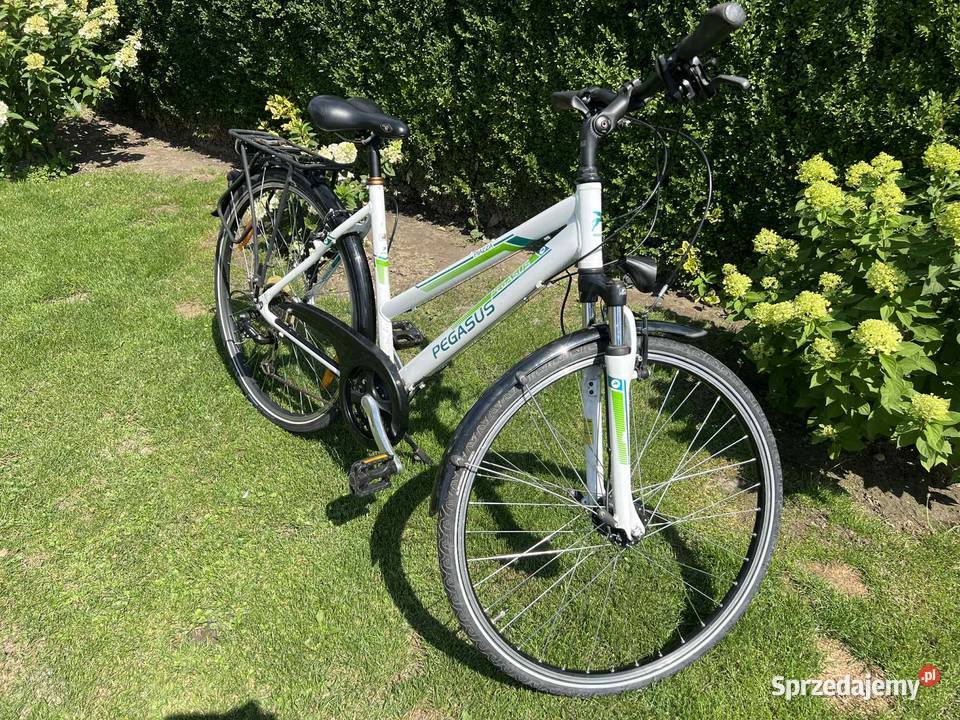 Rower Damski Damka Pegasus 28 Rama 50