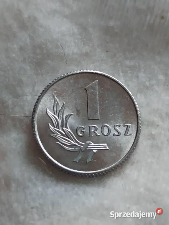 Sprzedam monete 1 groszy 1949 fffff Chełm sprzedam