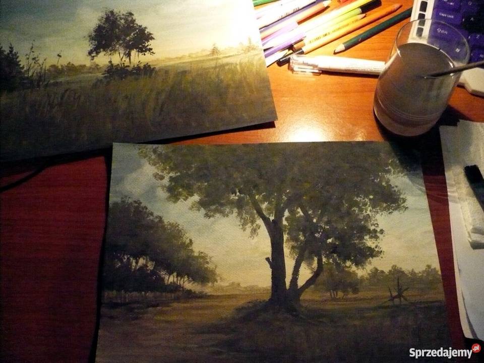 Indywidualne lekcje malarstwa i rysunku Wrocław