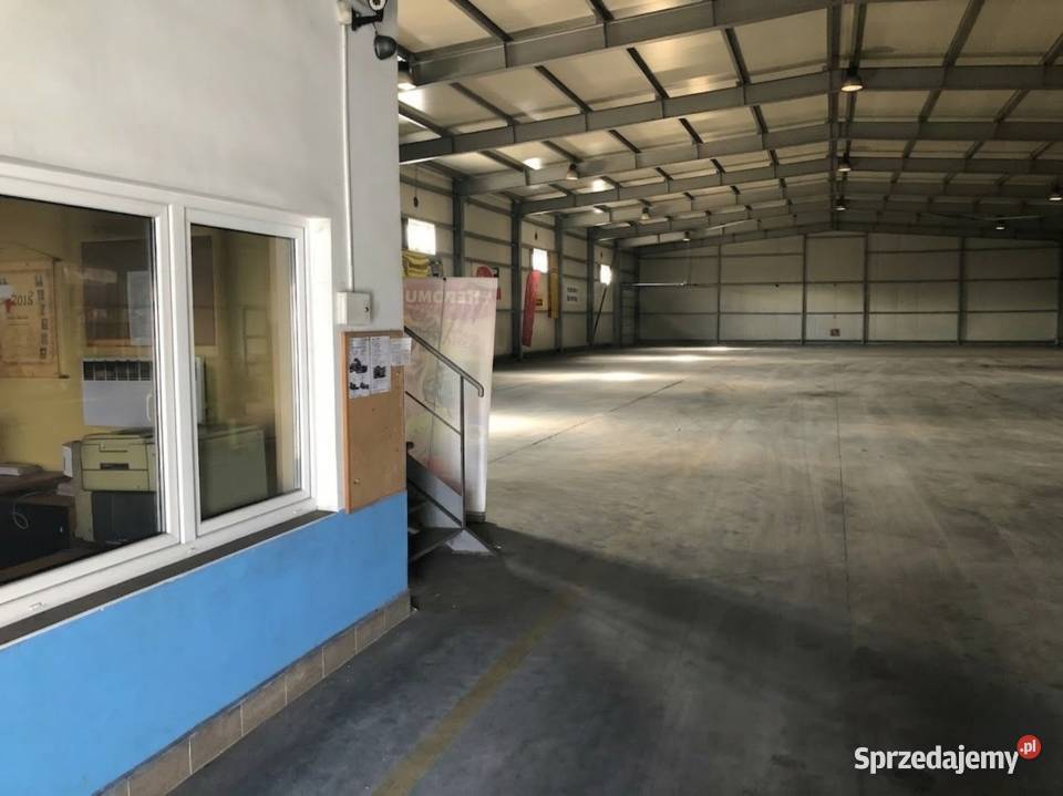 Kompleks hal produkcyjno magazynowych 3 577 m Wynajem Rypin