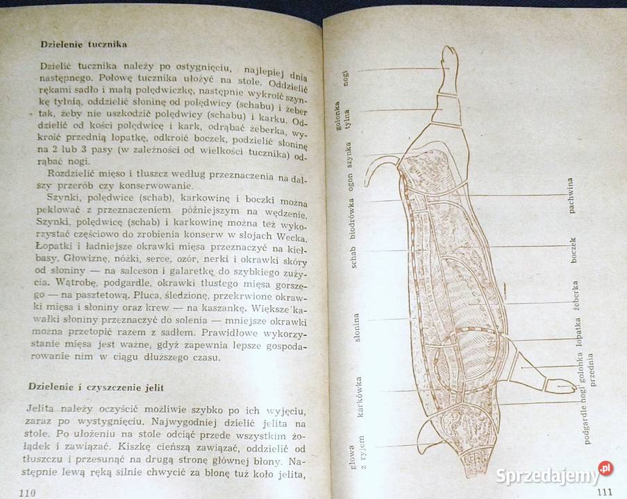 Zdrowe żywienie zdrowa rodzina Maria Szczygłowa Chełm