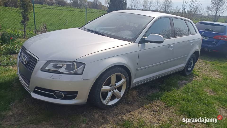 Sprzedam Audi A3 8p srebrny Kalisz