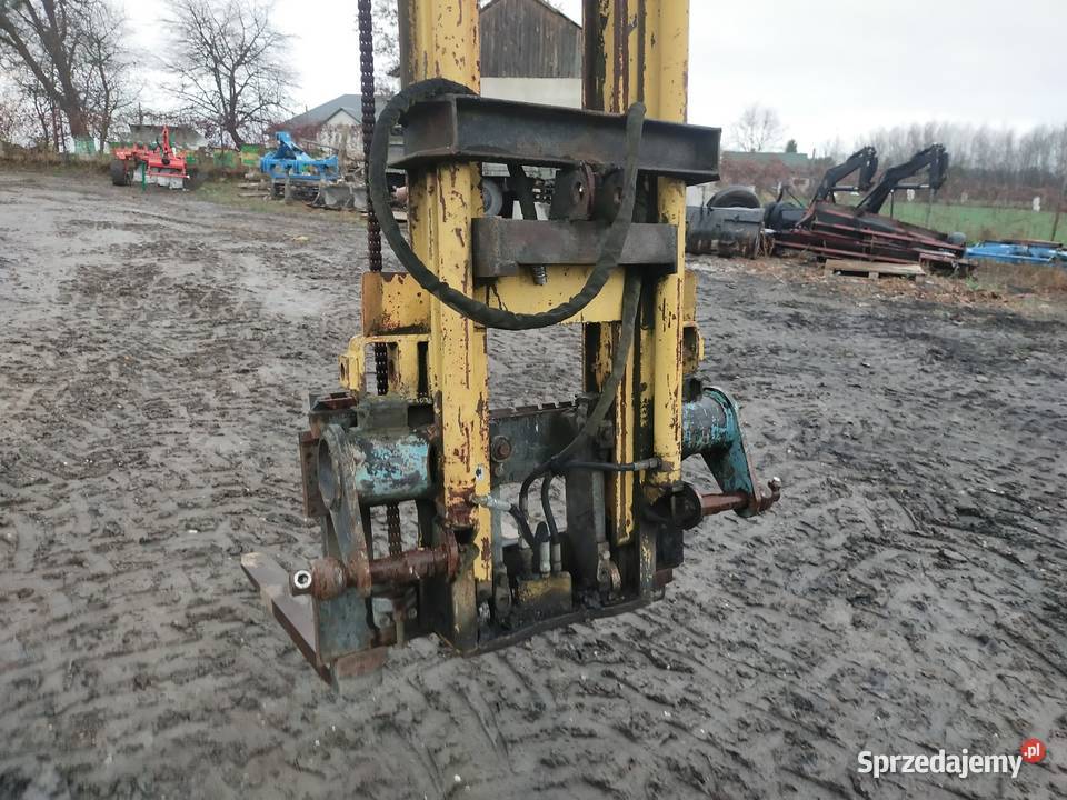 Widlak Ignatów-Kolonia