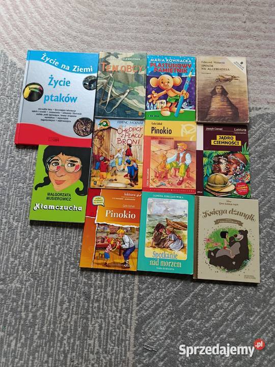 Sprzedam książki Radom