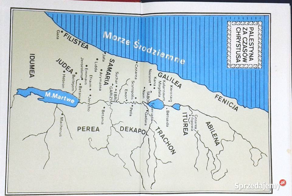 Biblia w obrazkach najmłodszych Kenneth N Taylor lubelskie