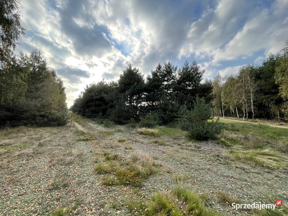 Działka z możliwością budowy domu 14 arów Sprzedaż mazowieckie Osiny