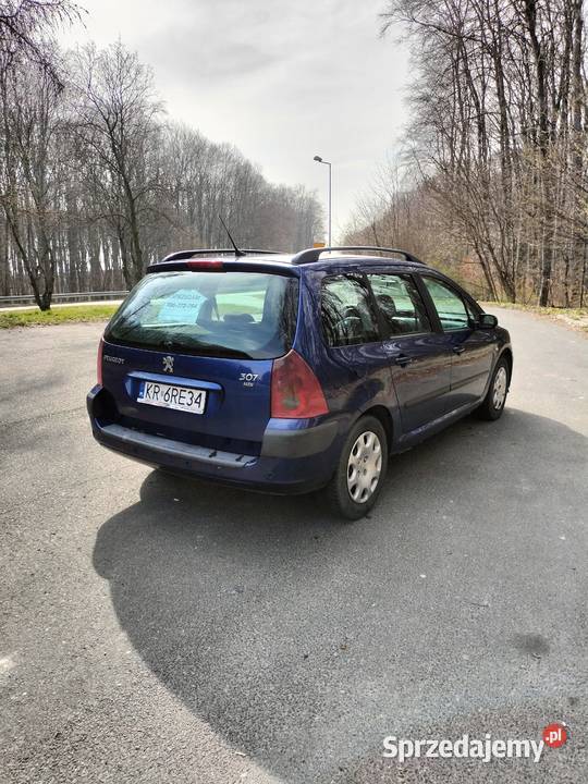 Peugot 307 16 hdi małopolskie Miechów