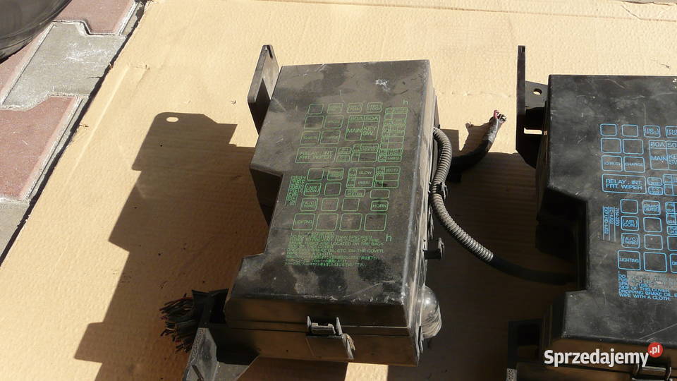 Halogeny moduły bezpieczniki Monterey Trooper