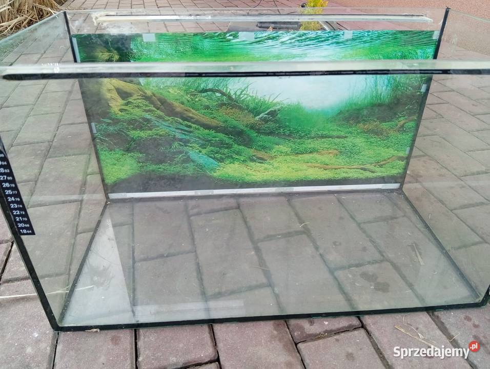 Sprzedam akwarium 60l