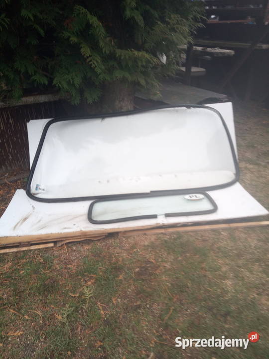 szybyszyba tarpan Pińczów