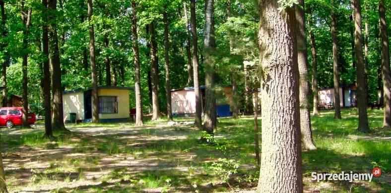 działkę OSOLINOborniki Ślaskie utwardzona Osolin