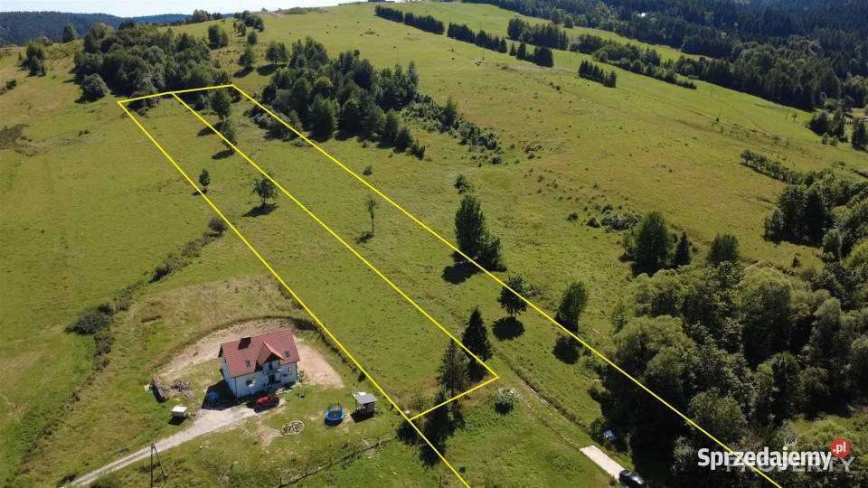 sprzedaży gruntu Berest 4900m2