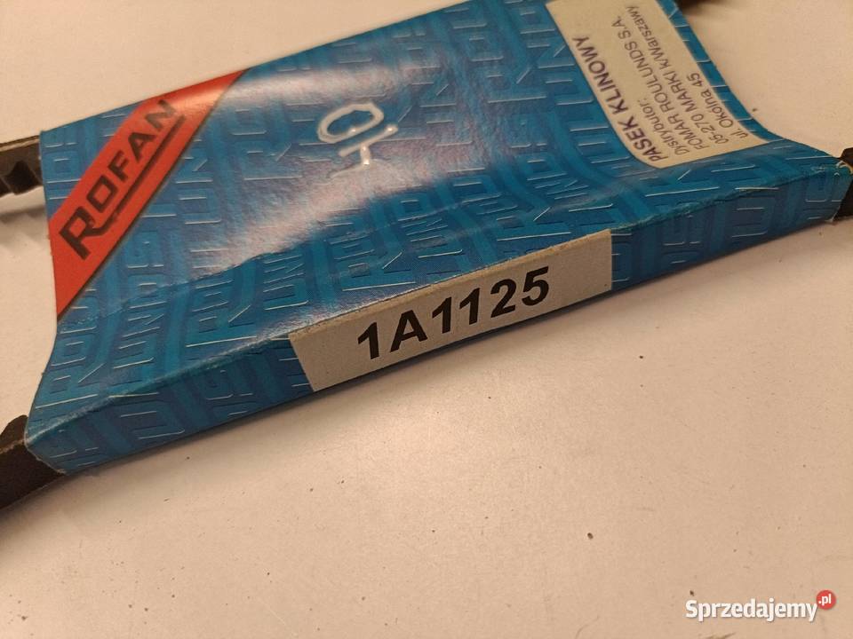 PASEK KLINOWY Audi BMW Citroen Iveco Lancia Chełm