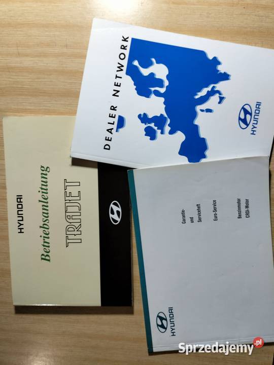 książki oryginalne do Hyundai Trajet nieuszkodzony Zezulin Niższy