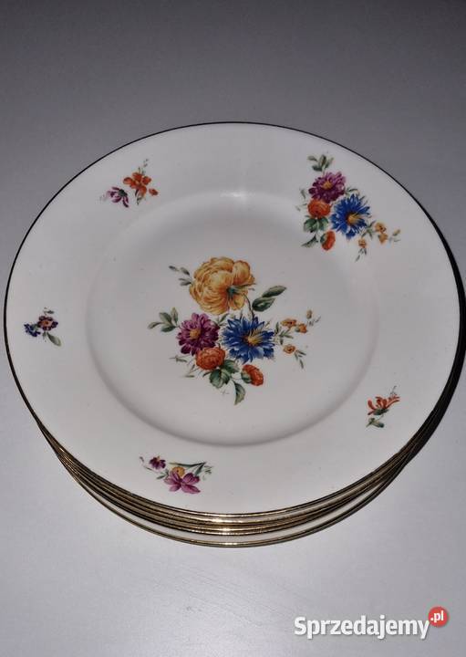 Talerze Płaskie Porcelana Francuska Limoges Wola Podłężna
