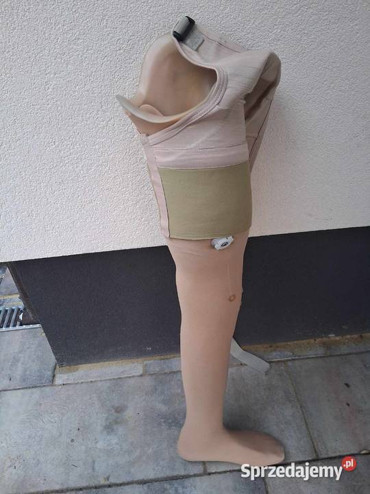 Proteza Niedrzwica Duża