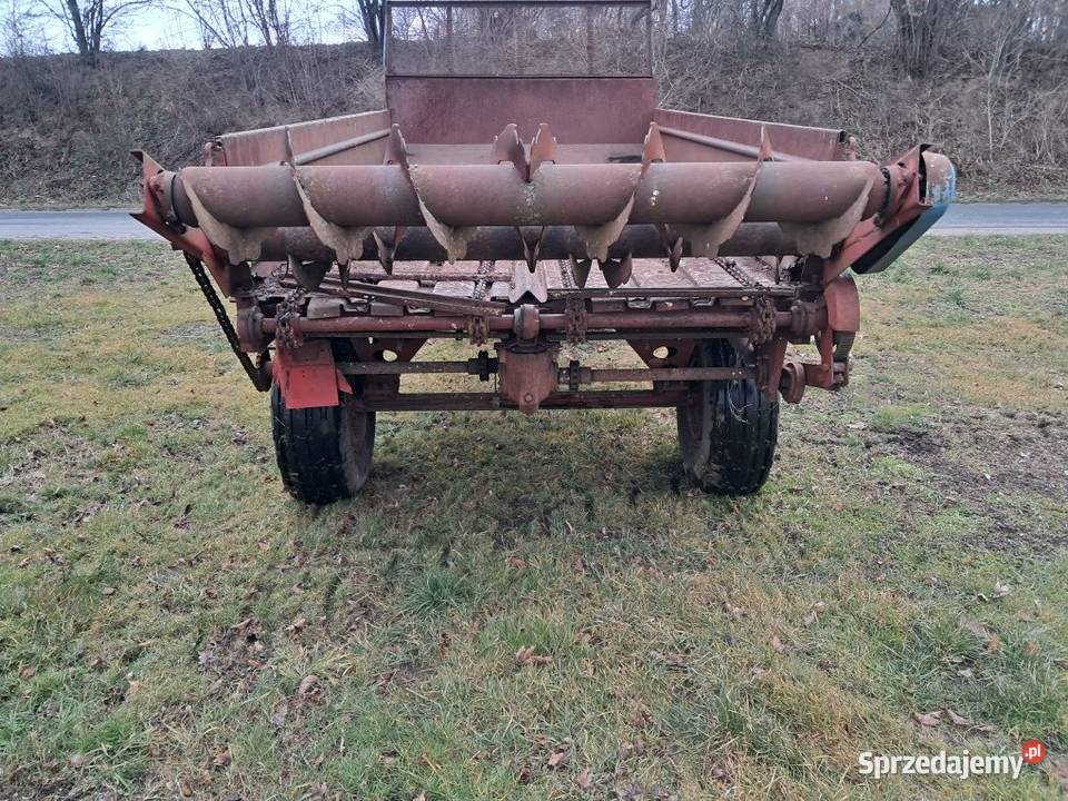 Rozrzutnik obornika ruski ptu wapniarka