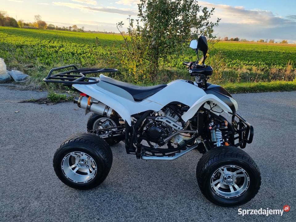 Quad Atv EGL LYDA 250cc 41r Ciecz Zarejestrowany kujawsko-pomorskie Kruszwica