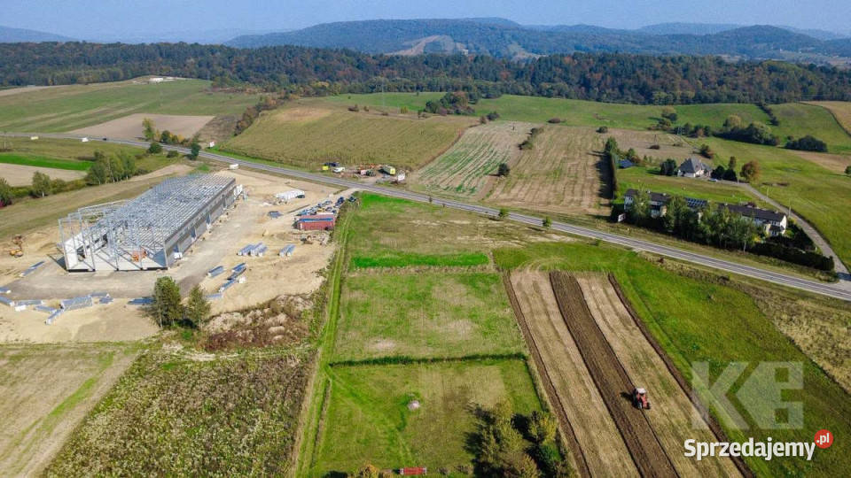 Grunt 3000m2 Czerteż 3000m2 sprzedam