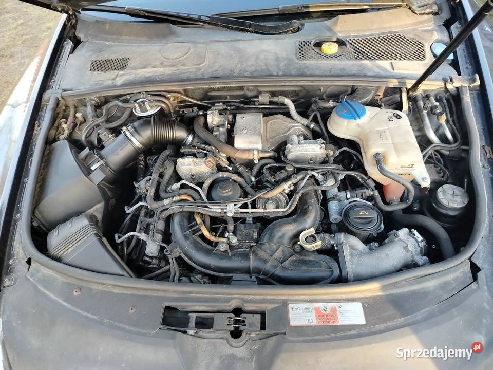 Audi A6 Rok produkcji 2005 A6 Strusy