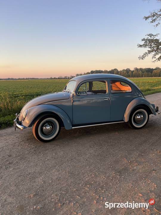 Volkswagen Garbus Oval 1954