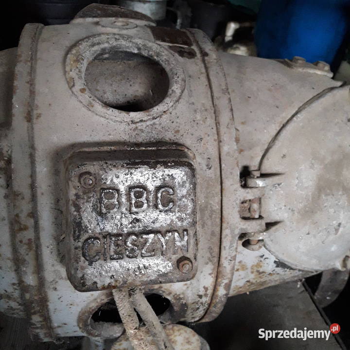 Zabytek Silnik starodawny na wózku Międzyrzec Podlaski sprzedam