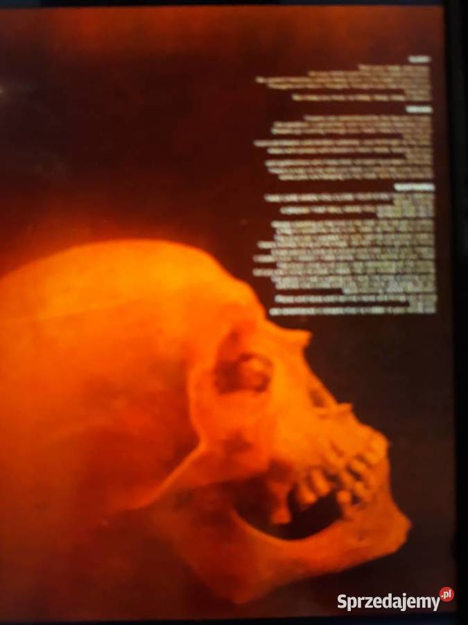 Z wykopalisk hard prog rocka MESSAGE From Books rock sprzedam