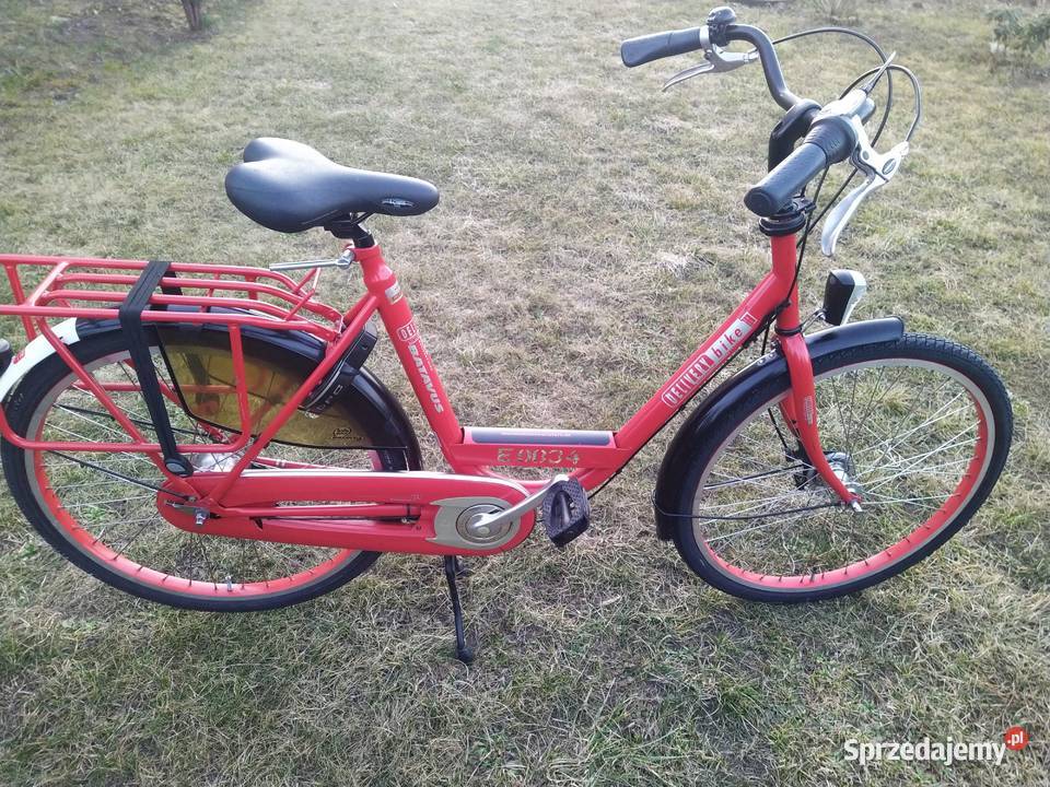 Rower damka Batavus Delivery Bike 26 Nexus 7 Słupca