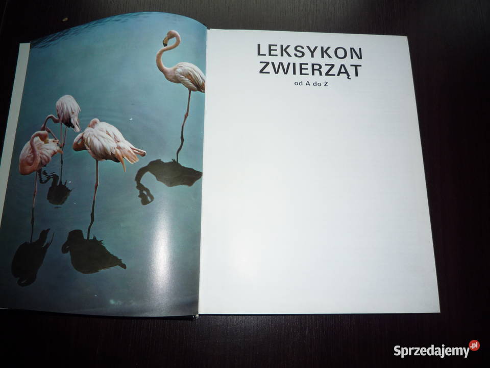leksykon zwierząt a do ż Lutowiska