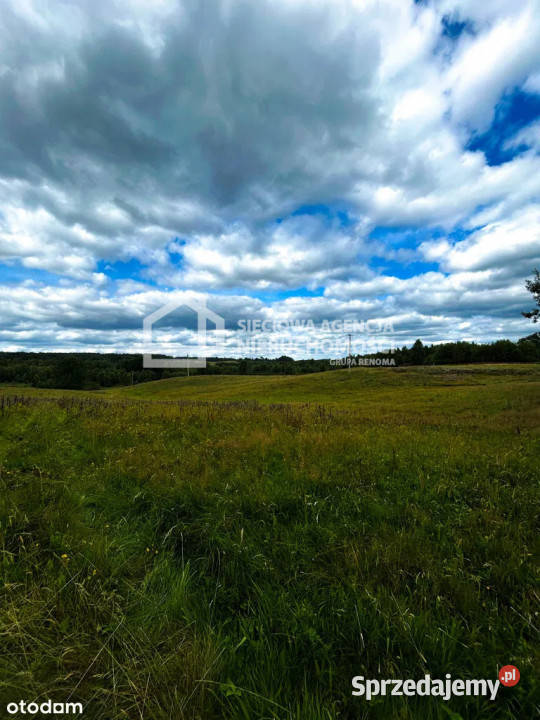 Działka Trzepowo 2913m2