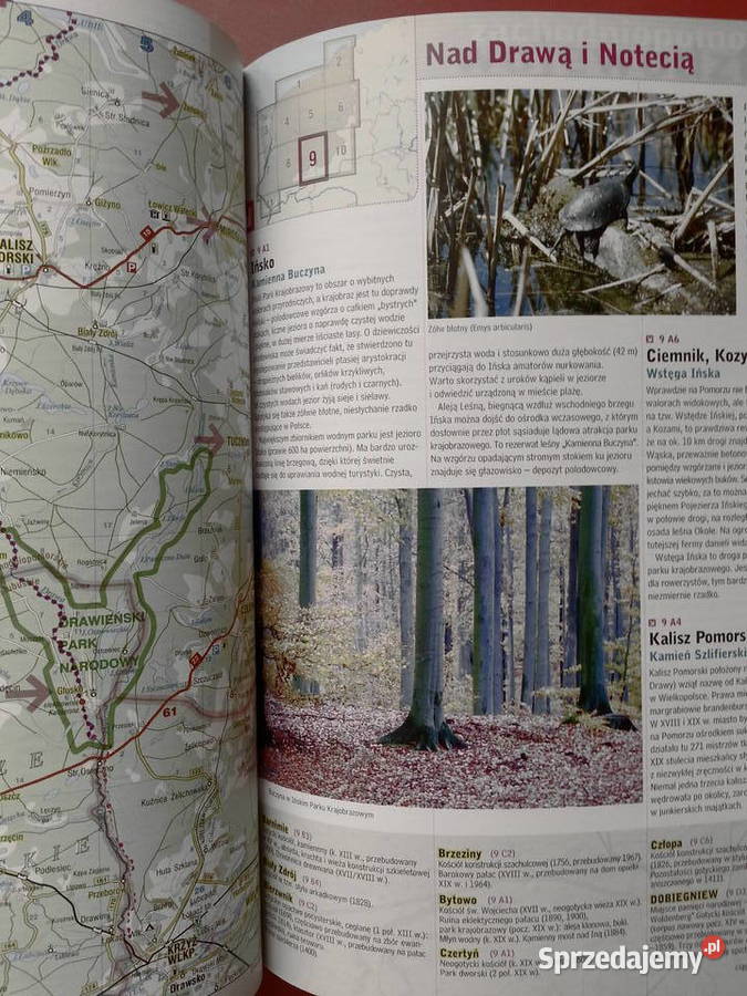 2979 Polska Niezwykła Województwo Szczecin