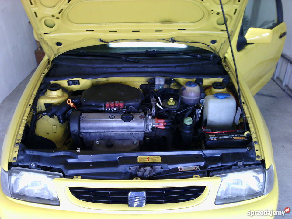 Seat Ibiza II Lubawa