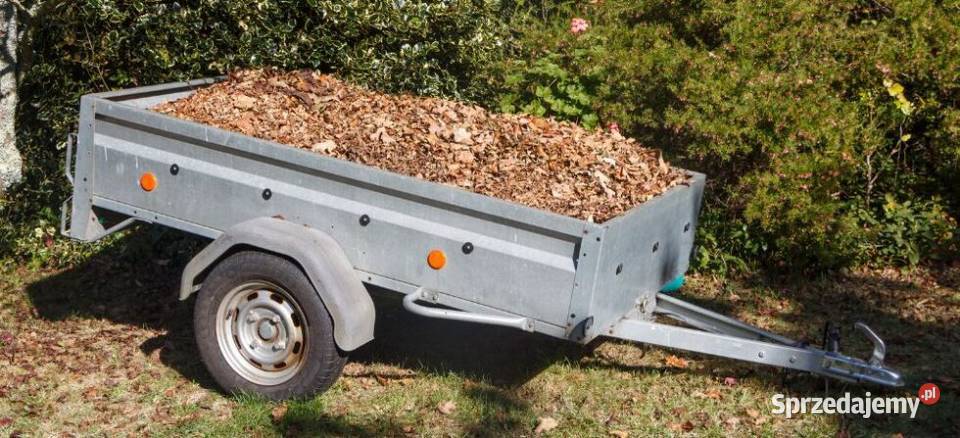 Biegły Ogrodnik Wolne terminy na jesienne Rzepin