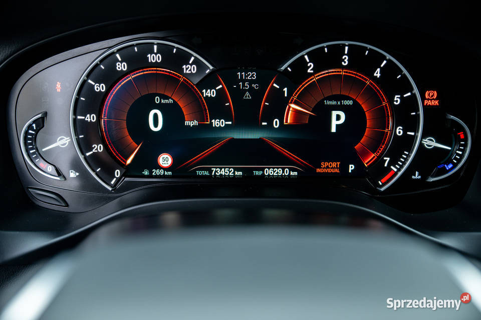 BMW X3 xDrive30i 252 Luxury Line 2019 75 300 nieuszkodzony małopolskie Niepołomice