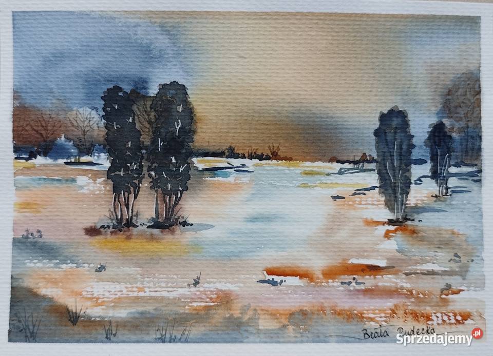 Akwarela Akwarelka Obraz pt Współistnienie Mikołajki sprzedam