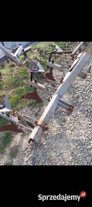 Obsypnik pielnik małopolskie Nowy Sącz