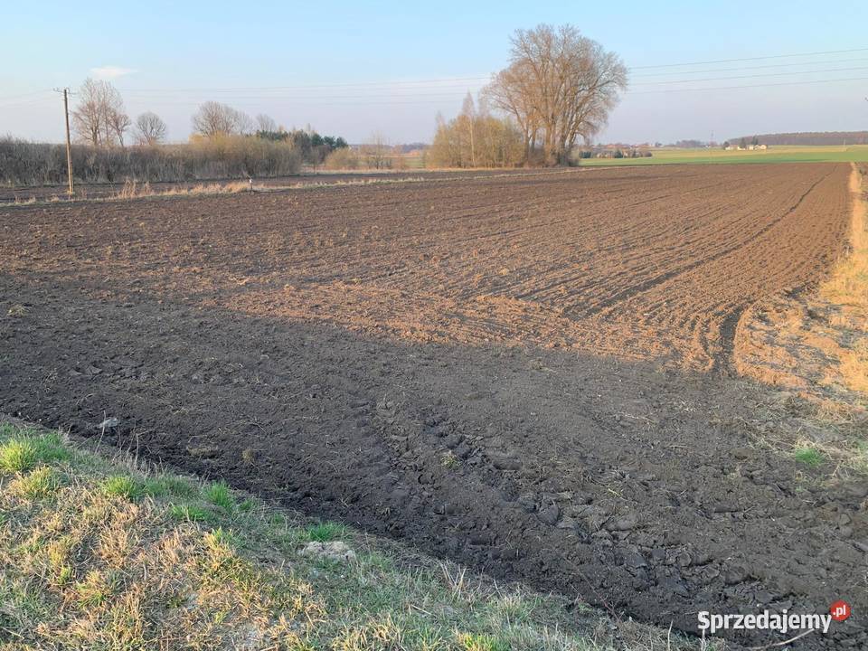 Działka 1h Zagrodowabudowana 10000m2 Łuszczów Drugi
