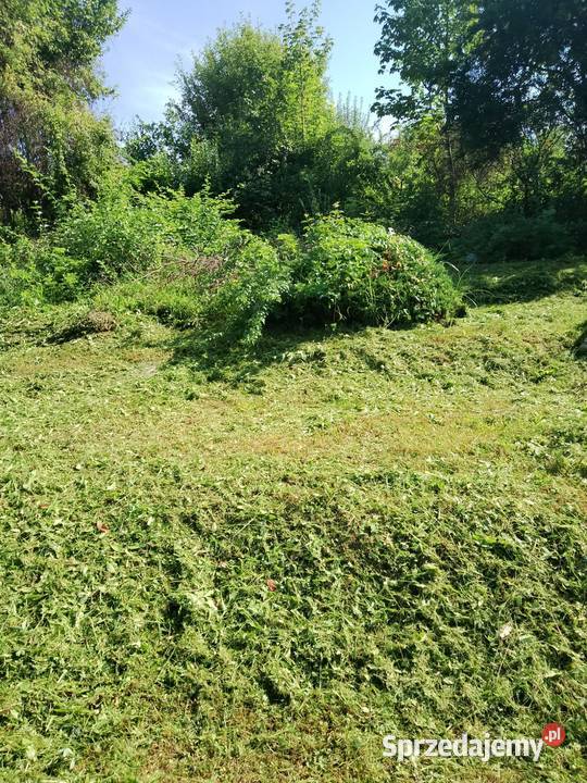 Działka ROD w Lipniku Sprzedaż Bielsko-Biała