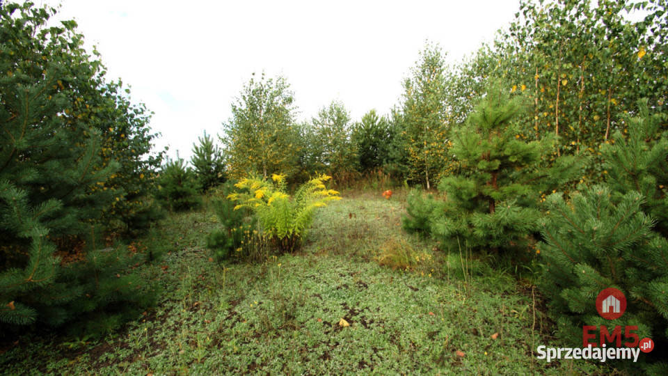 Działka 2806m2 Klimki budowlana