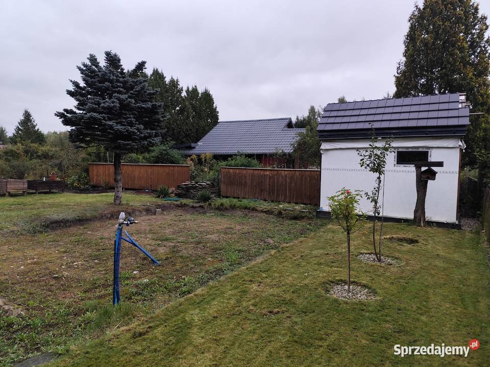 Sprzedam działkę ROD Przypki sprzedam