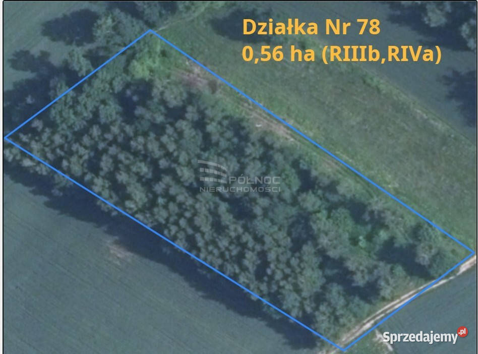 Sprzedam urokliwe siedlisko z działkami lubelskie Bobliwo