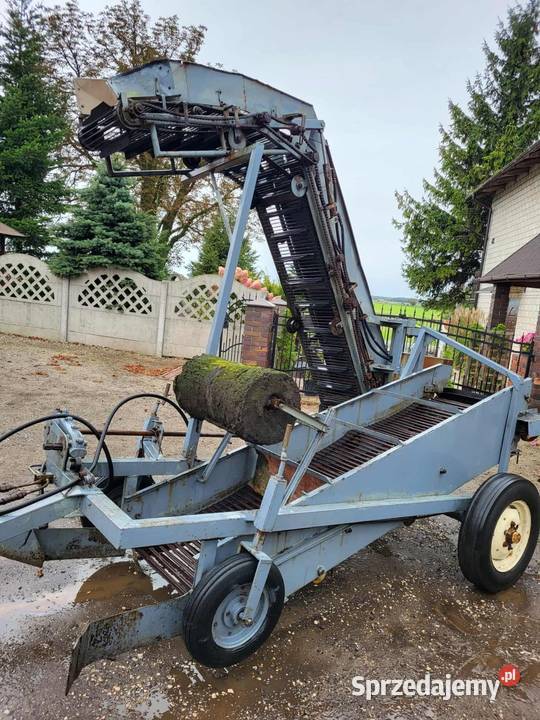 Kombajn zbieracz do cebuli Puck Z 437 zbieraczka Osięciny