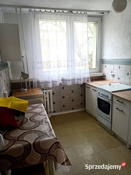 3pok 54met Żubrzej ROZKŁADBALKONPIWNICA Wrocław