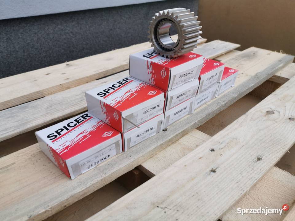 Satelita Łożysko zwolnicy Dieci Spicer Wilkowo