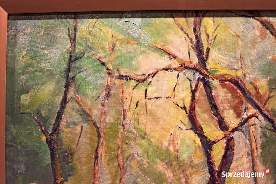 Van Aken pejzaż leśny dolnośląskie Lubin sprzedam