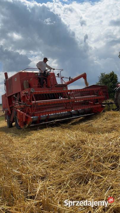 mam na sprzedaż bizona Z056 Zamość