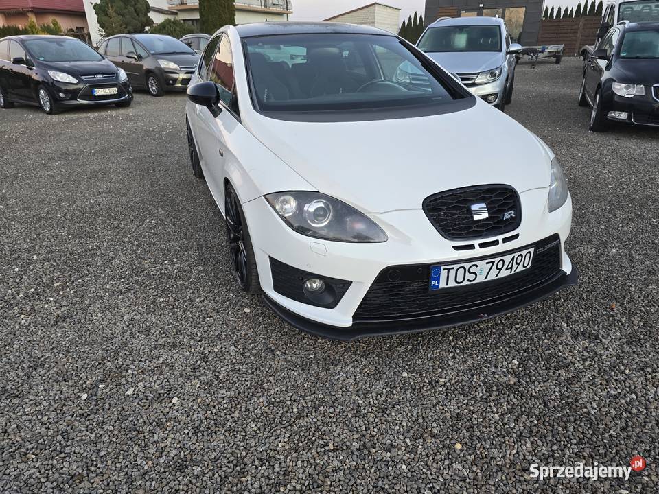 Seat Leon Cupra świętokrzyskie Ostrowiec Świętokrzyski