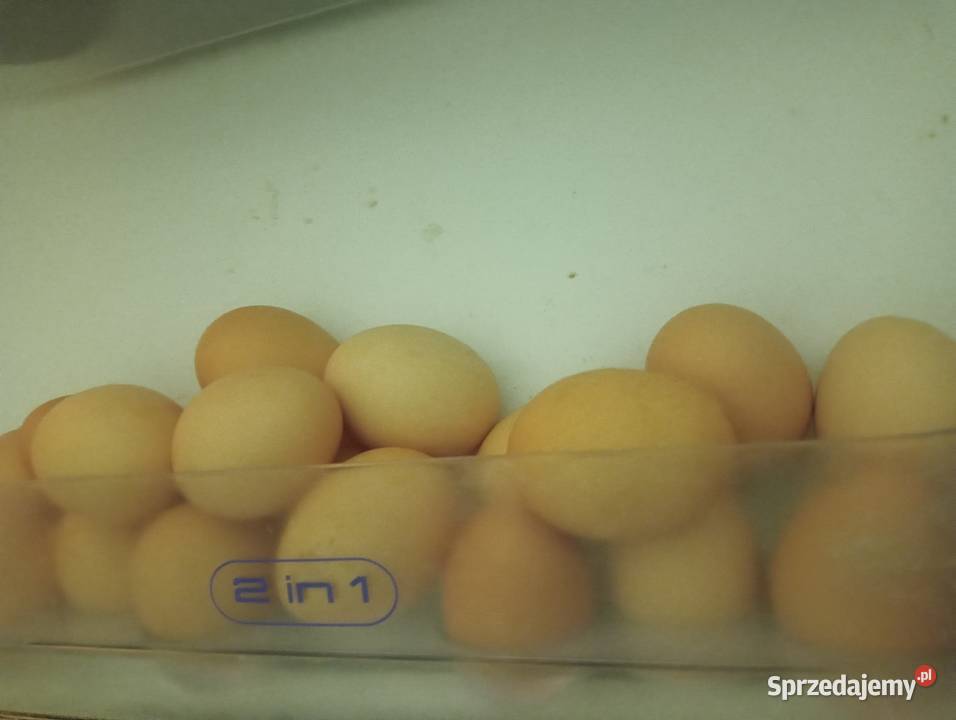 Jaka Jajka wiejskie z wolnego wybiegu Pozostałe