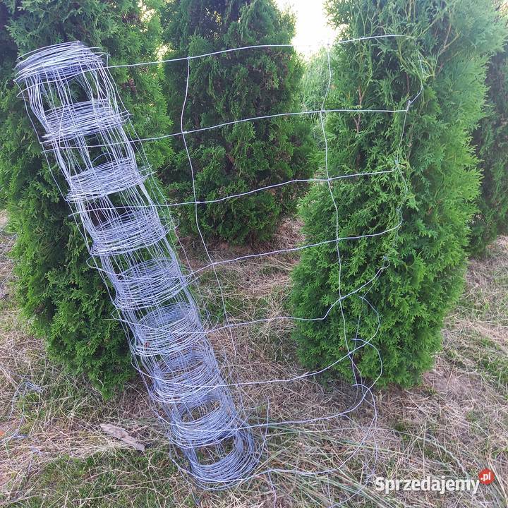 siatka leśnicza 120 około 15m oczka 8x 15 x 30 Zemborzyce Podleśne