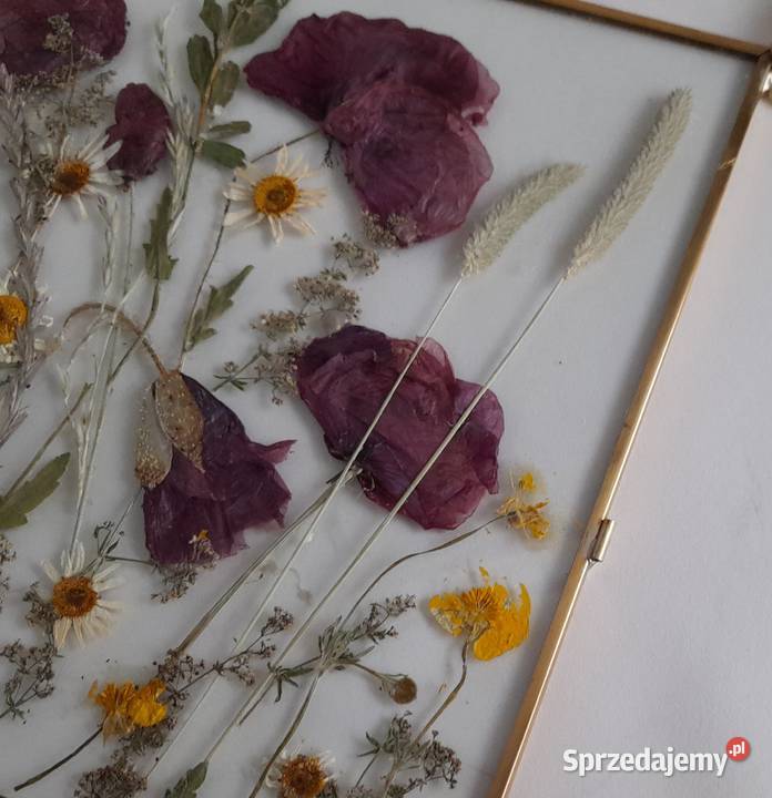 Obraz Kwiatowy Kompozycja Wspomnienie lata Maki Antyki, Sztuka, Kolekcje Rotmanka